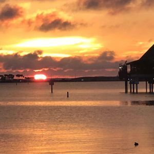 Meet your Posher, Belle